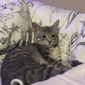 Meet your Posher, Chloe